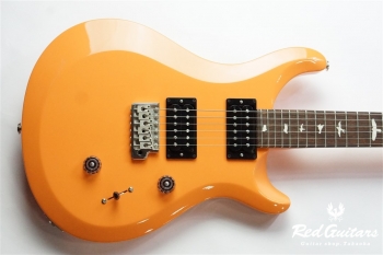 S2 Custom 24 Custom Color - OZ